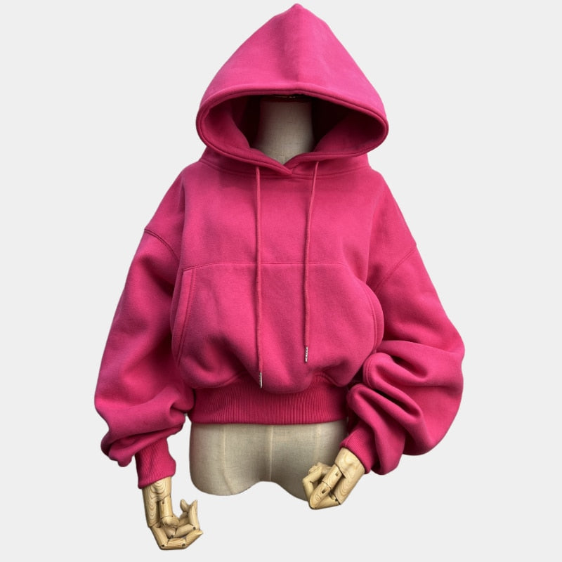Hoodies Suit Winter Spring Solid Casual Tracksuit Women Fleece 2 Pieces Set Sports Sweatshirts Pullover Sweatpants Wholesale
