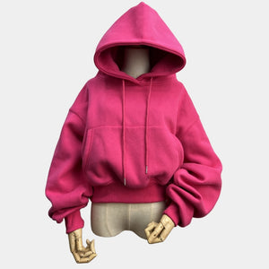 Hoodies Suit Winter Spring Solid Casual Tracksuit Women Fleece 2 Pieces Set Sports Sweatshirts Pullover Sweatpants Wholesale