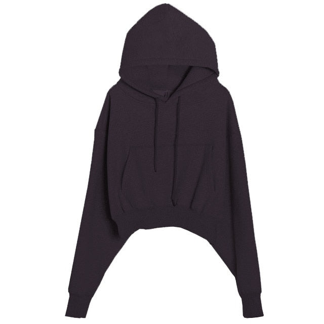 Hoodies Suit Winter Spring Solid Casual Tracksuit Women Fleece 2 Pieces Set Sports Sweatshirts Pullover Sweatpants Wholesale