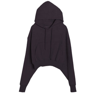 Hoodies Suit Winter Spring Solid Casual Tracksuit Women Fleece 2 Pieces Set Sports Sweatshirts Pullover Sweatpants Wholesale