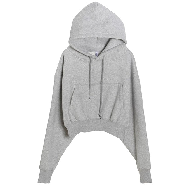 Hoodies Suit Winter Spring Solid Casual Tracksuit Women Fleece 2 Pieces Set Sports Sweatshirts Pullover Sweatpants Wholesale