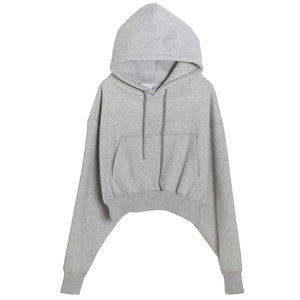 Hoodies Suit Winter Spring Solid Casual Tracksuit Women Fleece 2 Pieces Set Sports Sweatshirts Pullover Sweatpants Wholesale