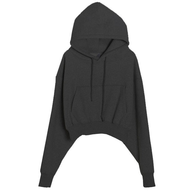 Hoodies Suit Winter Spring Solid Casual Tracksuit Women Fleece 2 Pieces Set Sports Sweatshirts Pullover Sweatpants Wholesale