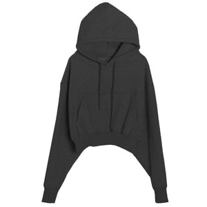 Hoodies Suit Winter Spring Solid Casual Tracksuit Women Fleece 2 Pieces Set Sports Sweatshirts Pullover Sweatpants Wholesale