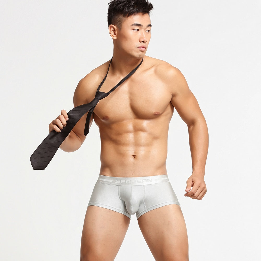 New SEOBEAN Mens Low Rise  Nylon Sexy Boxer Trunk Underwear