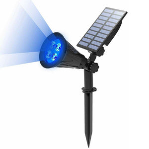 |136:1410#Blue;249:200006305#2W