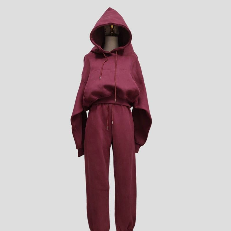 Hoodies Suit Winter Spring Solid Casual Tracksuit Women Fleece 2 Pieces Set Sports Sweatshirts Pullover Sweatpants Wholesale